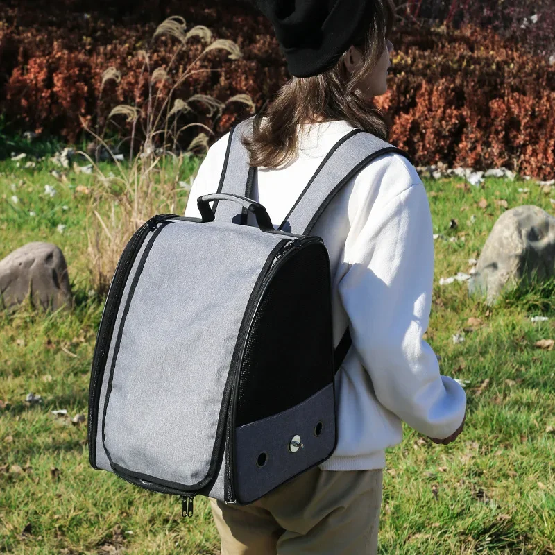 Outdoors Parrot Backpack Porta – Luxury Bags Price Bewertung und Preis
