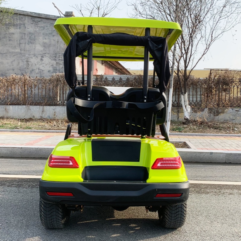 Factory Price 2 Seat Luxury El – Luxury Bags Price Bewertung und Preis